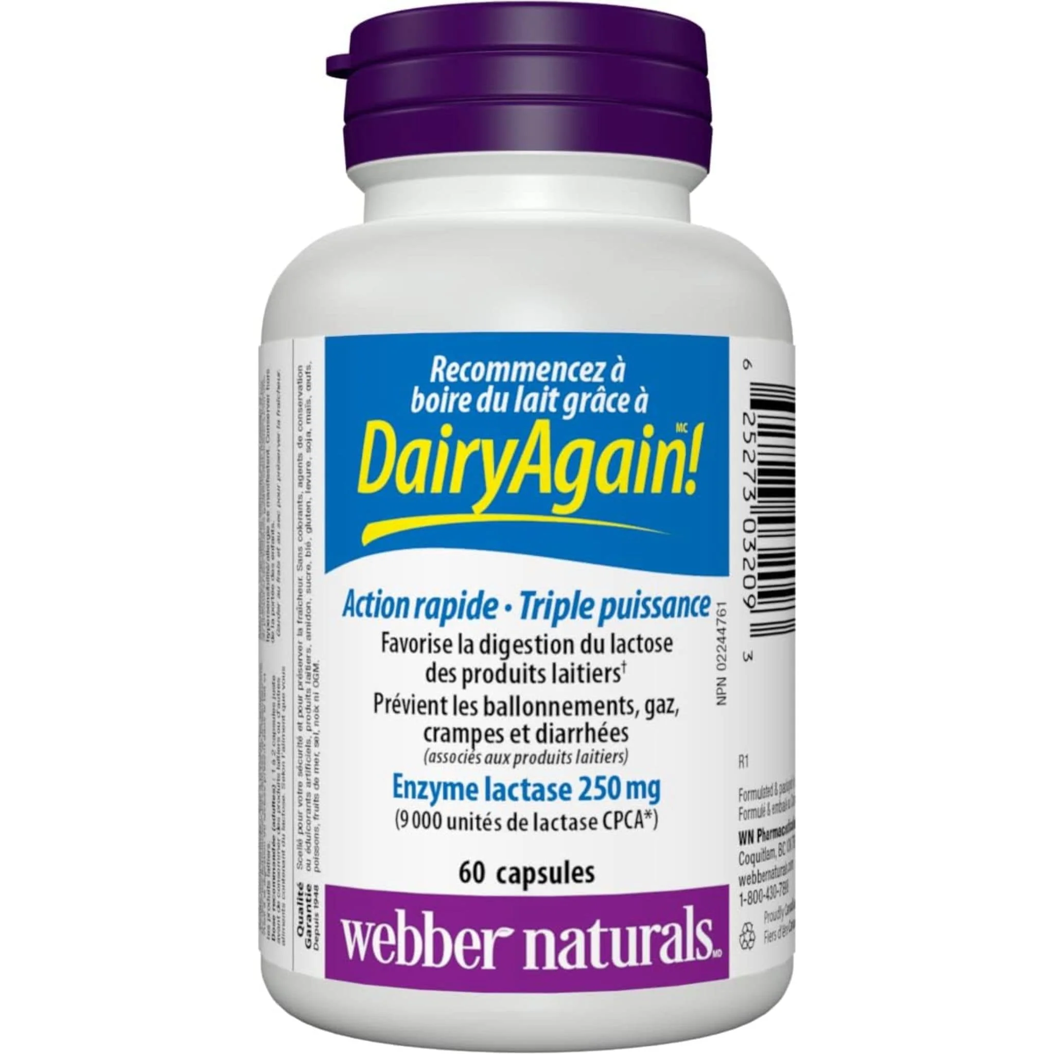 Webber Naturals Dairy Again, Lactase Enzyme 250mg, Helps Digest Lactose in Dairy, 60 Capsules - Image 4
