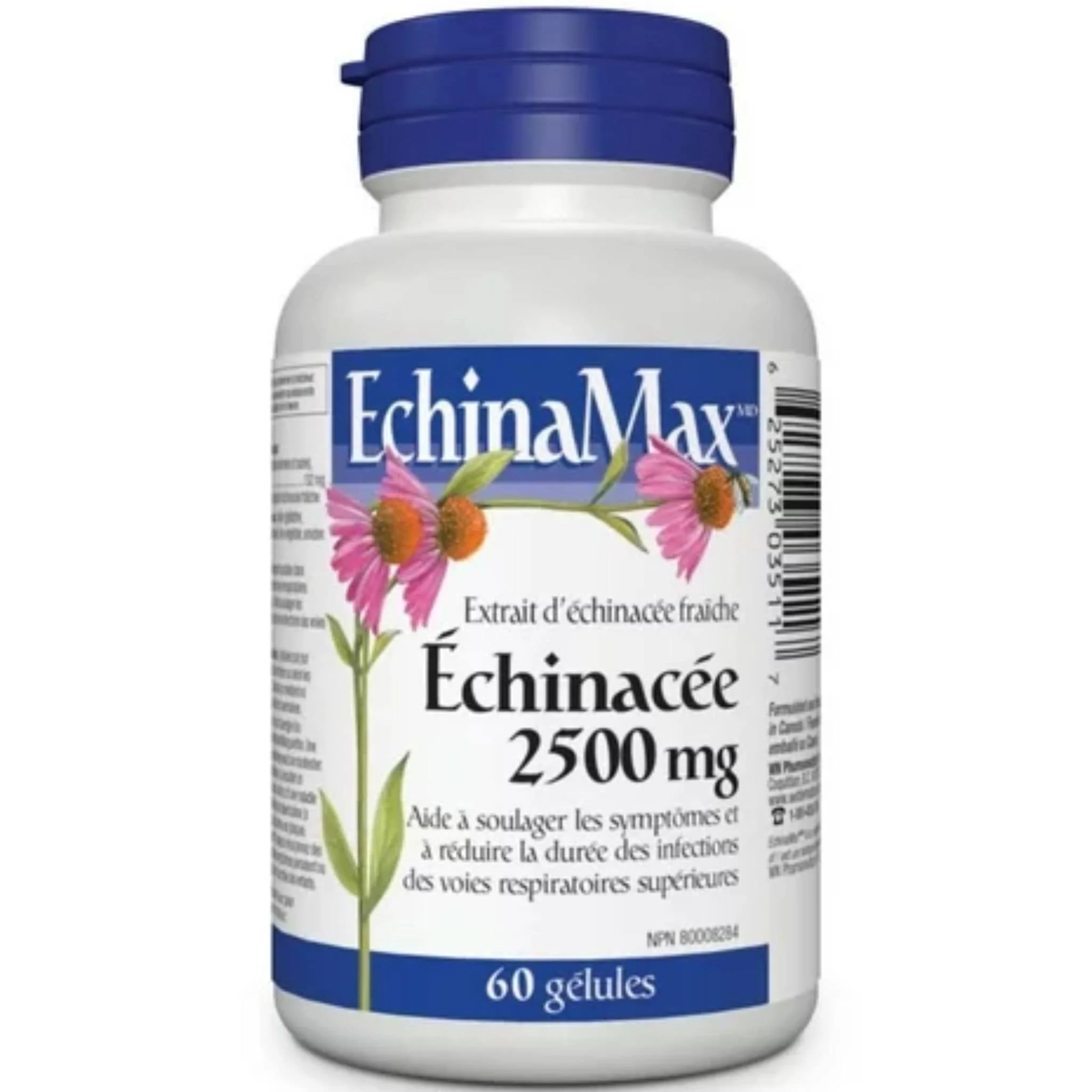 Webber Naturals EchinaMax Echinacea 2500mg, 60 Softgels - Image 2