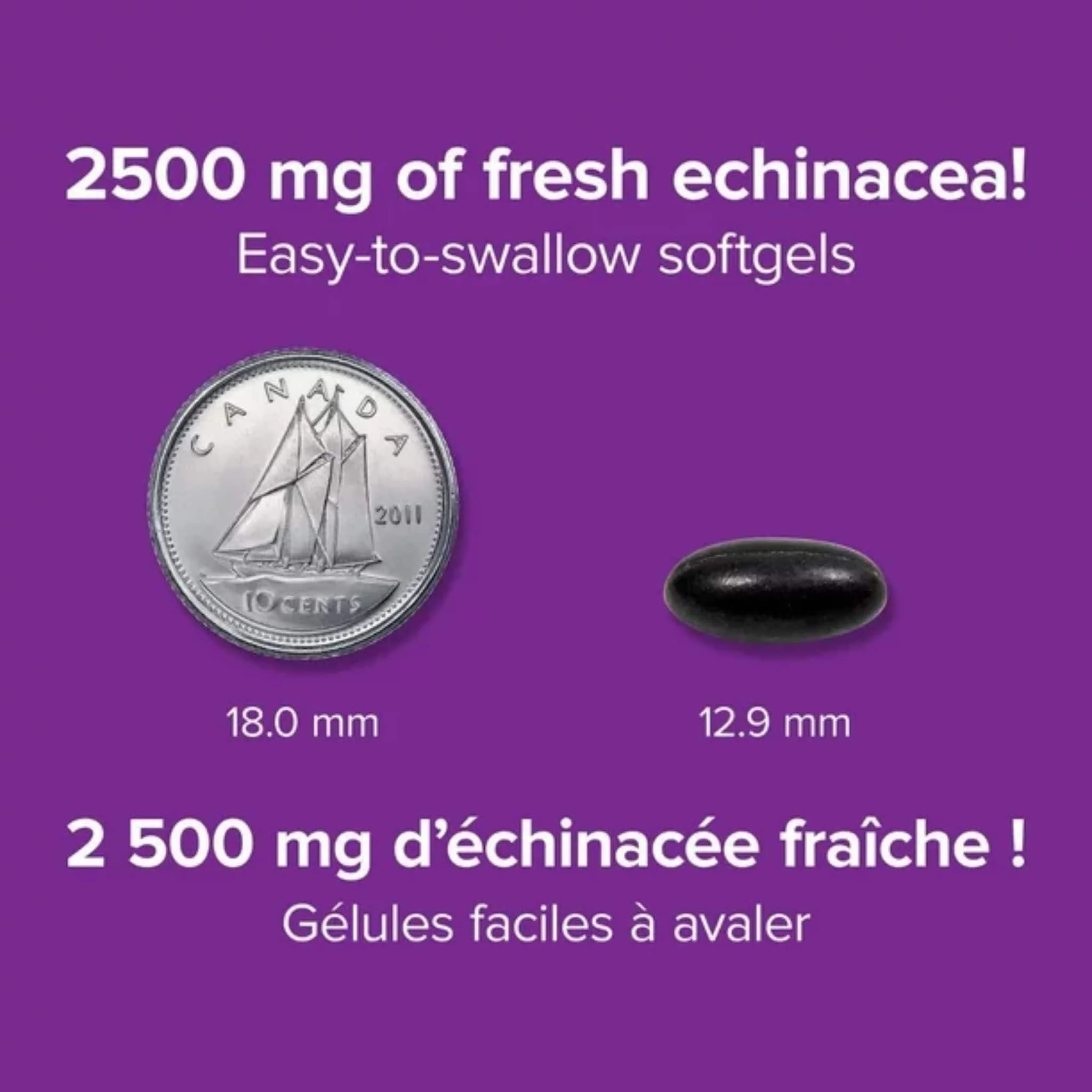 Webber Naturals EchinaMax Echinacea 2500mg, 60 Softgels - Image 4