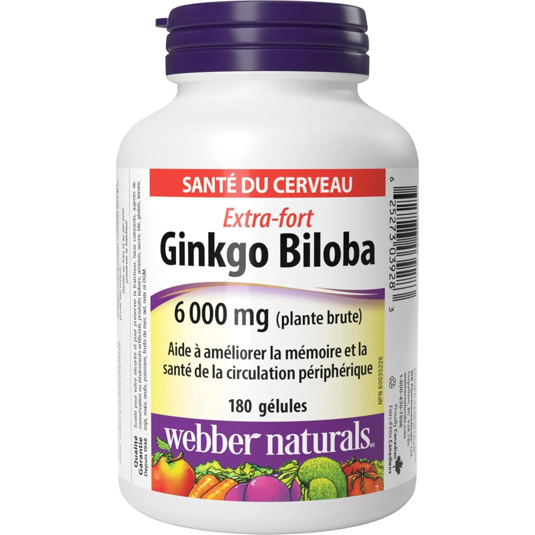 Webber Naturals Ginkgo Biloba 6000mg, Extra Strength, Supports Memory and Cognition, 180 Softgels - Image 2