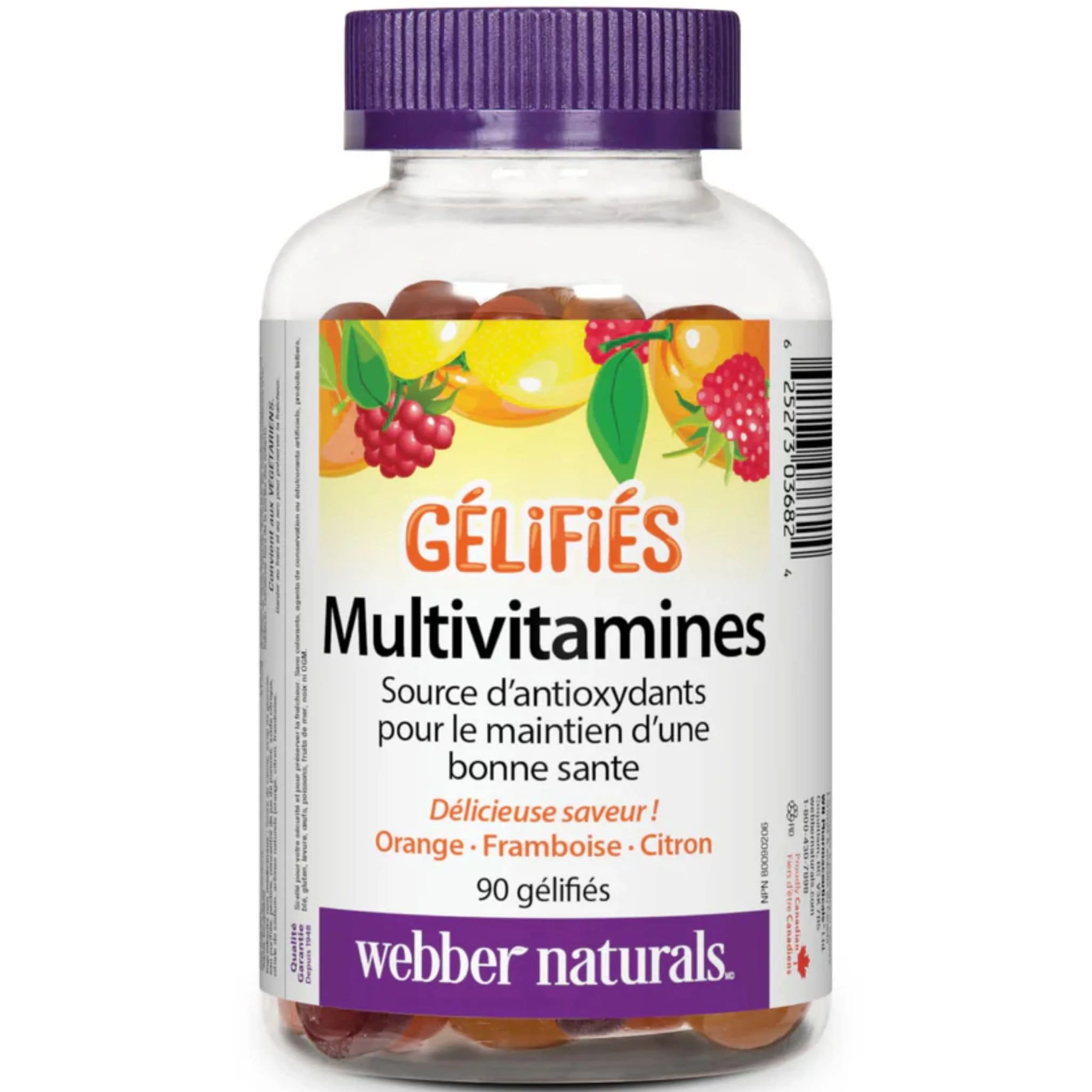 Webber Naturals Adult Multivitamin Gummies, Orange, Raspberry, Lemon 90 Gummies - Image 2