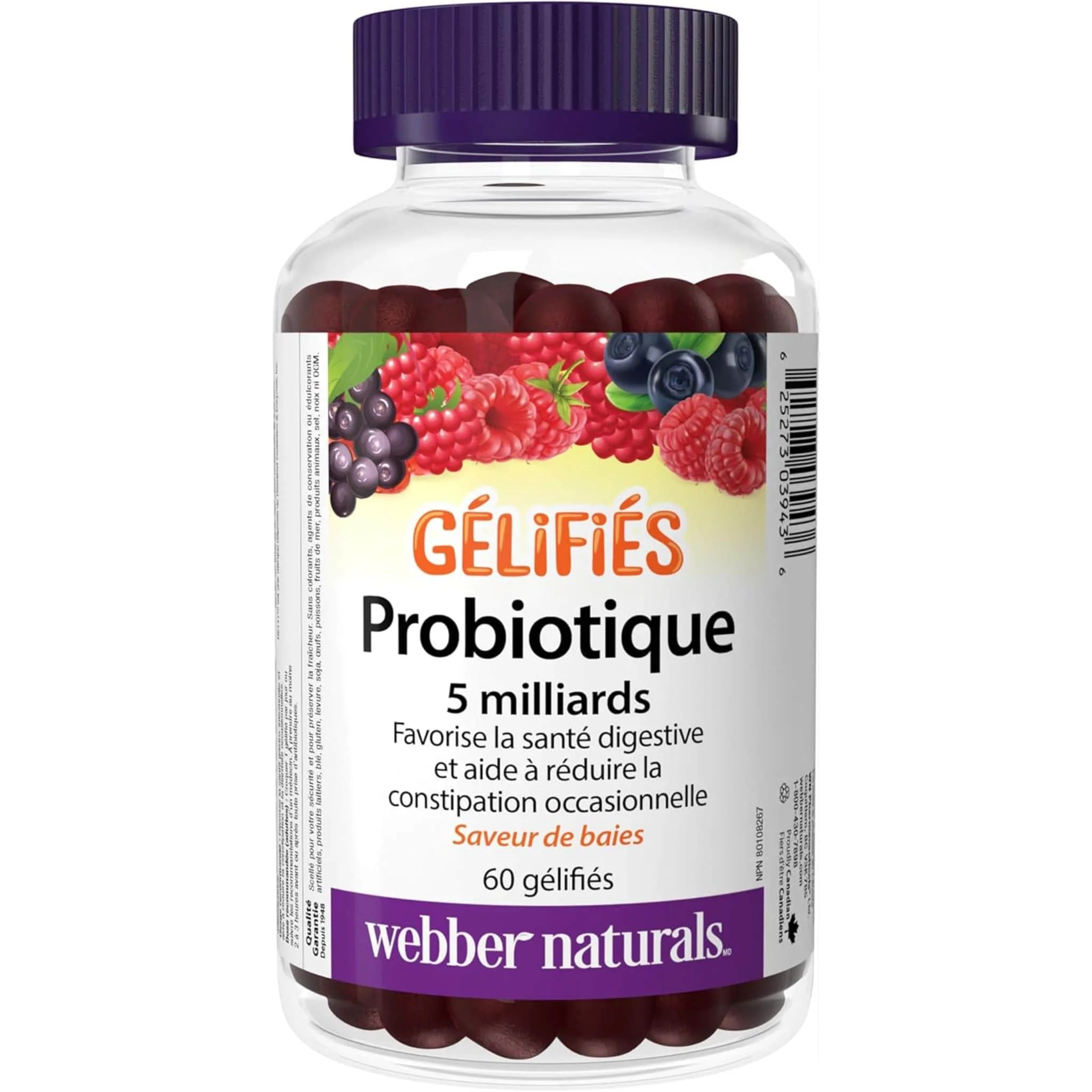 Webber Naturals Probiotic 5 Billion Gummies, Helps Support Digestive Health and Reduce Occasional Constipation, Shelf-Stable, 60 Gummies - Image 2