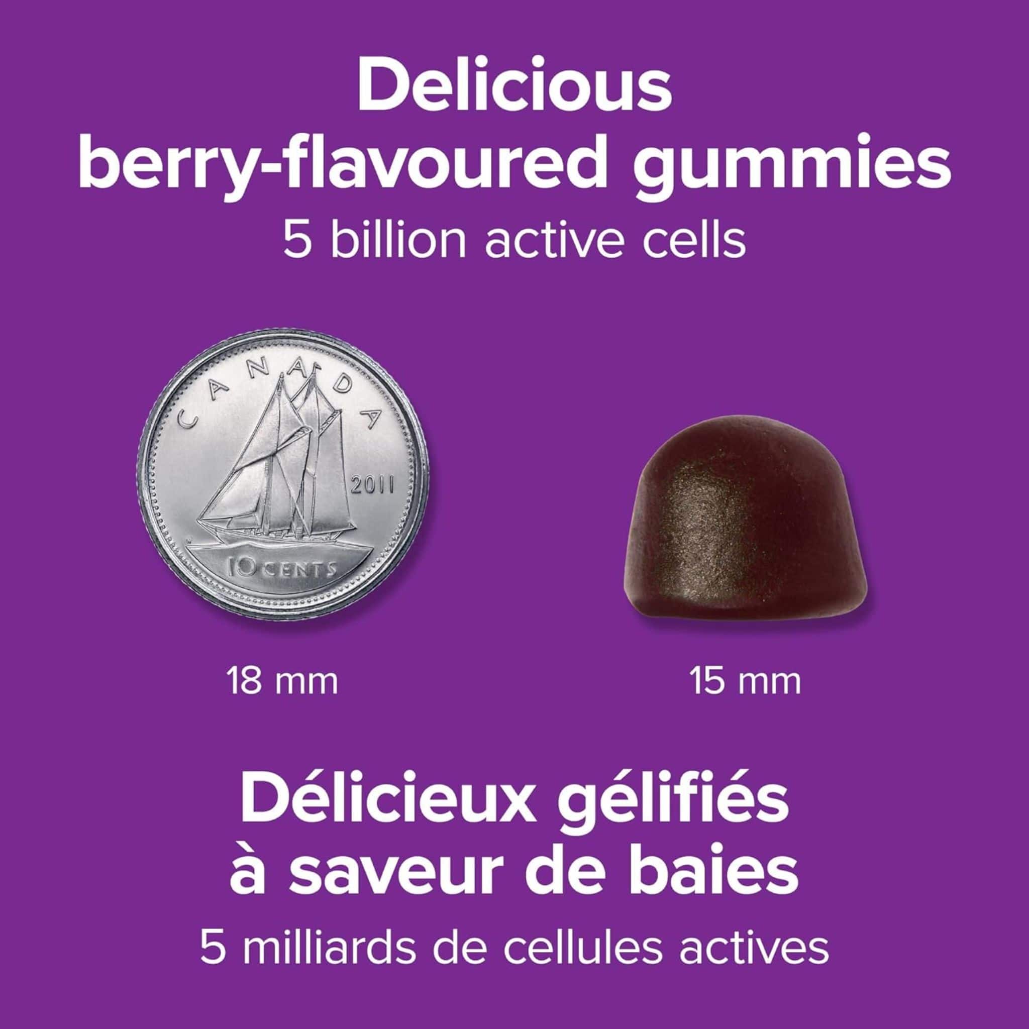 Webber Naturals Probiotic 5 Billion Gummies, Helps Support Digestive Health and Reduce Occasional Constipation, Shelf-Stable, 60 Gummies - Image 6