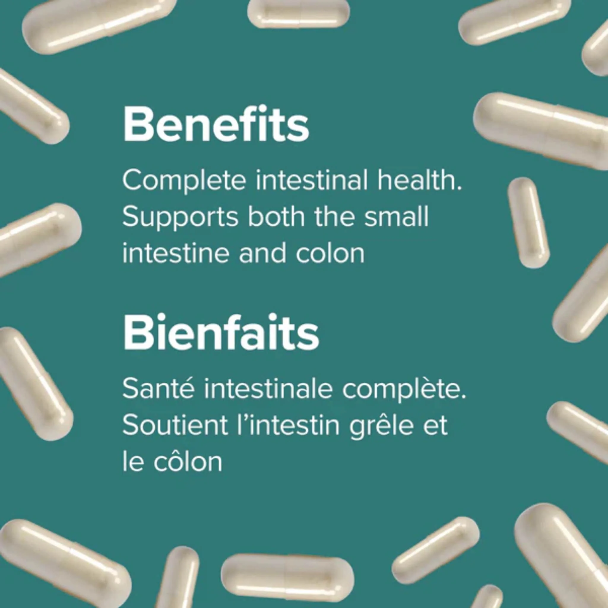 Webber Naturals Probiotic, Double Strength, 10 Billion Active Cells, 5 Probiotic Strains, Shelf Stable, 40 Capsules BONUS! 33% MORE - Image 3