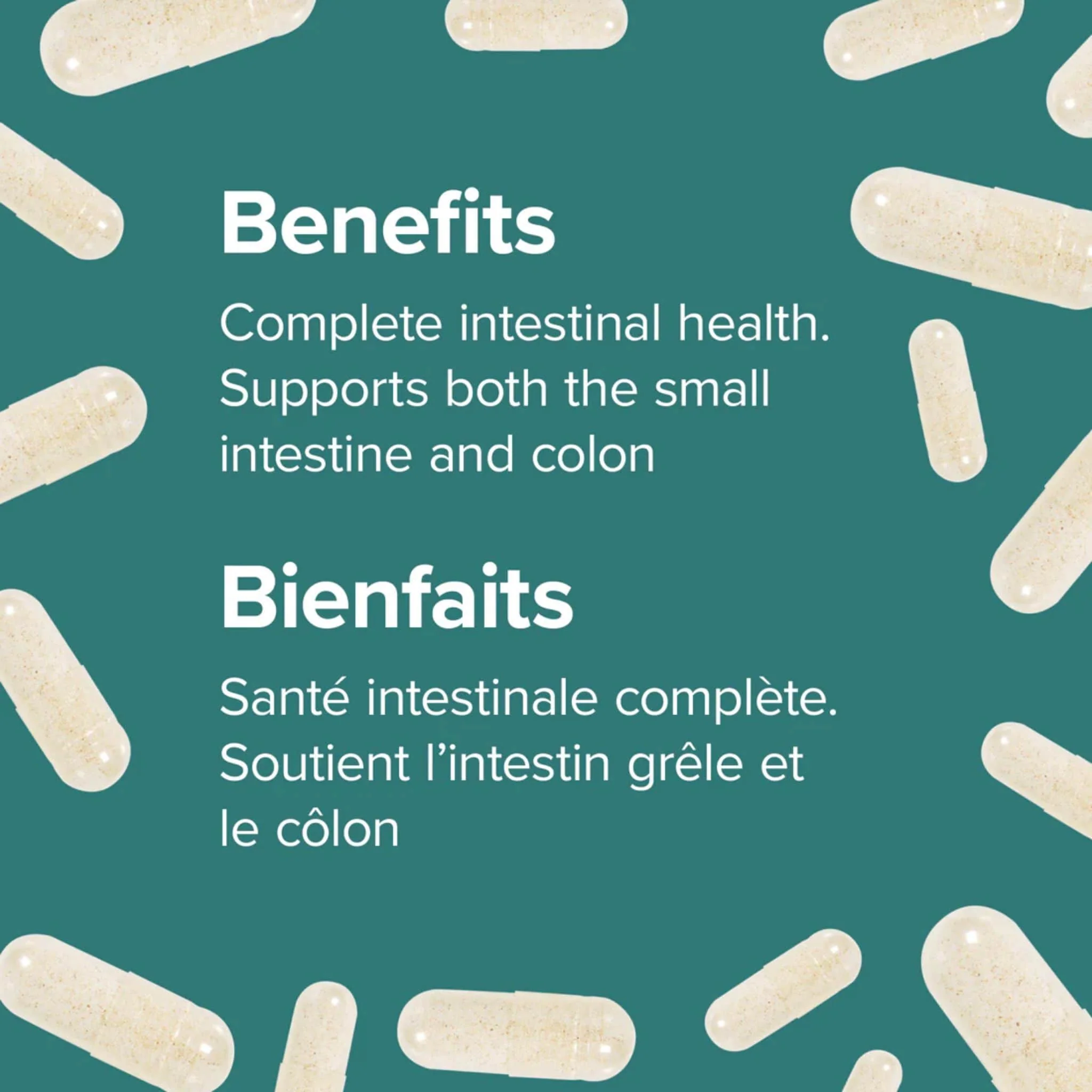 Webber Naturals Probiotic Multi Strain, 30 Billion Active Cells, 8 Probiotic Strains, 30 Capsules - Image 3