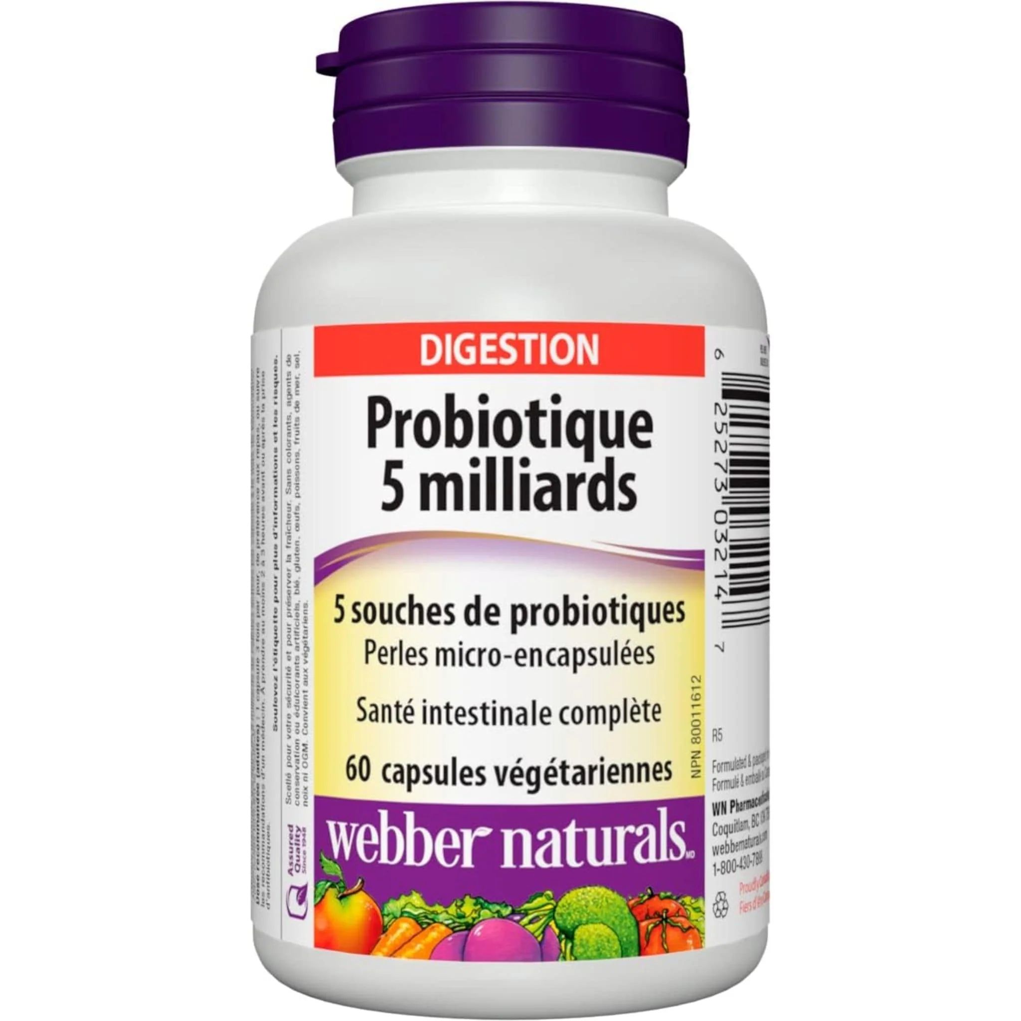 Webber Naturals Probiotic Multi Strain, 5 Billion Active Cells, 5 Probiotic Strains, 60 Vegetarian Capsules - Image 4