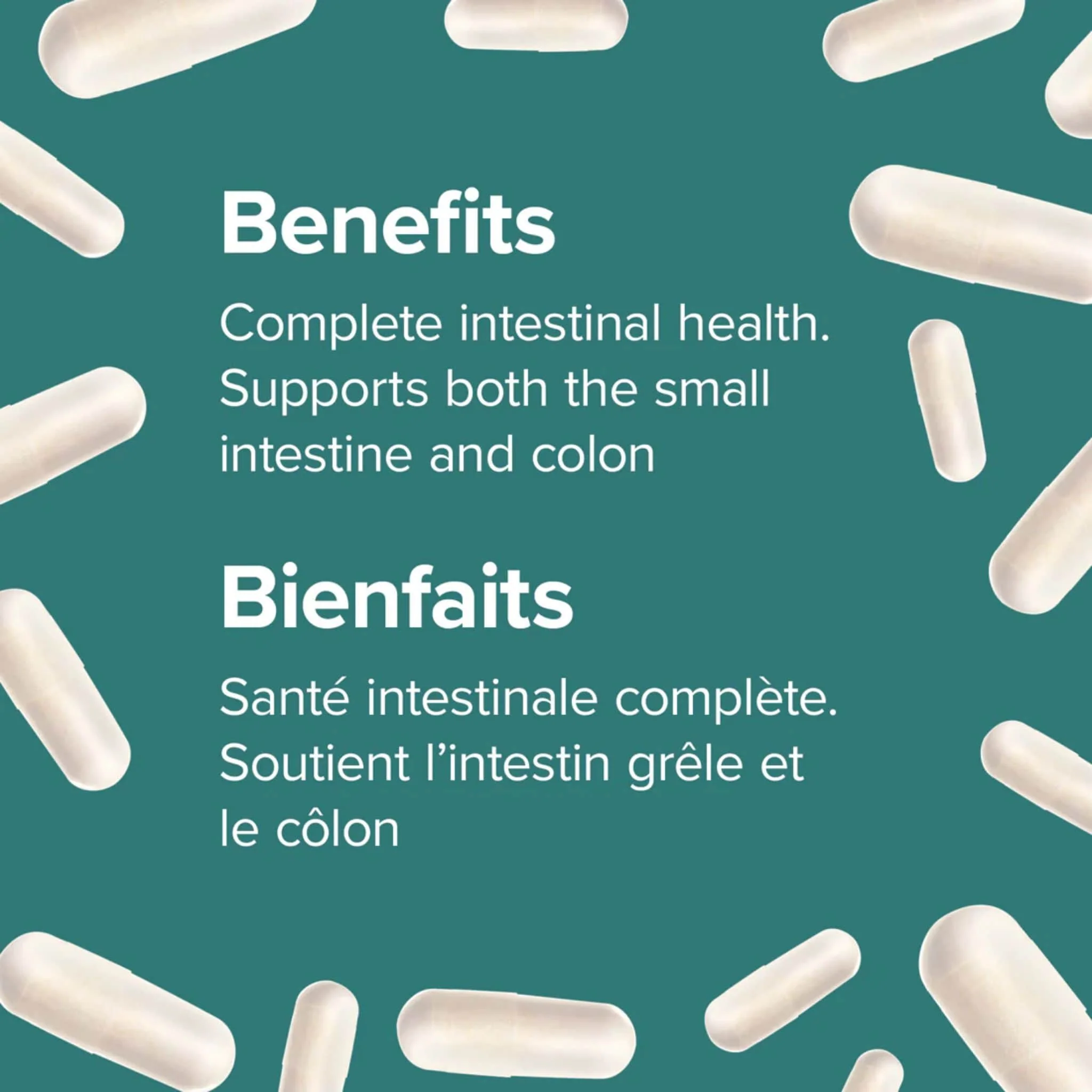 Webber Naturals Probiotic Multi Strain, 5 Billion Active Cells, 5 Probiotic Strains, 60 Vegetarian Capsules - Image 6
