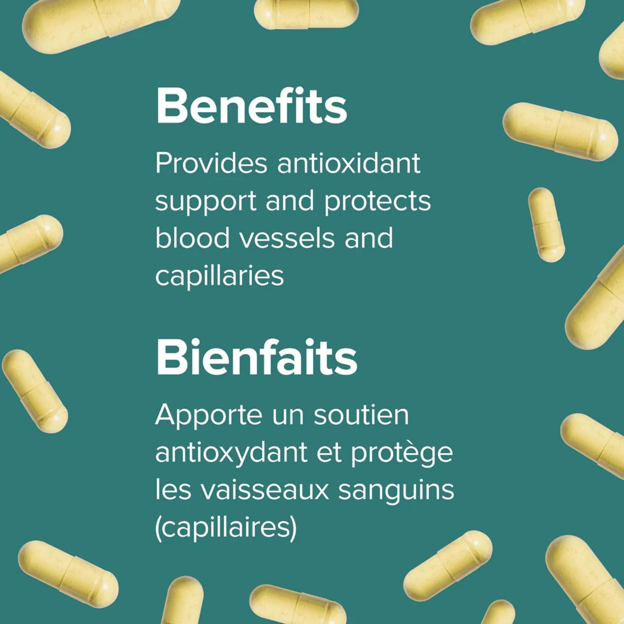 Webber Naturals Quercetin 500mg, 60 Vegetable Capsules - Image 4