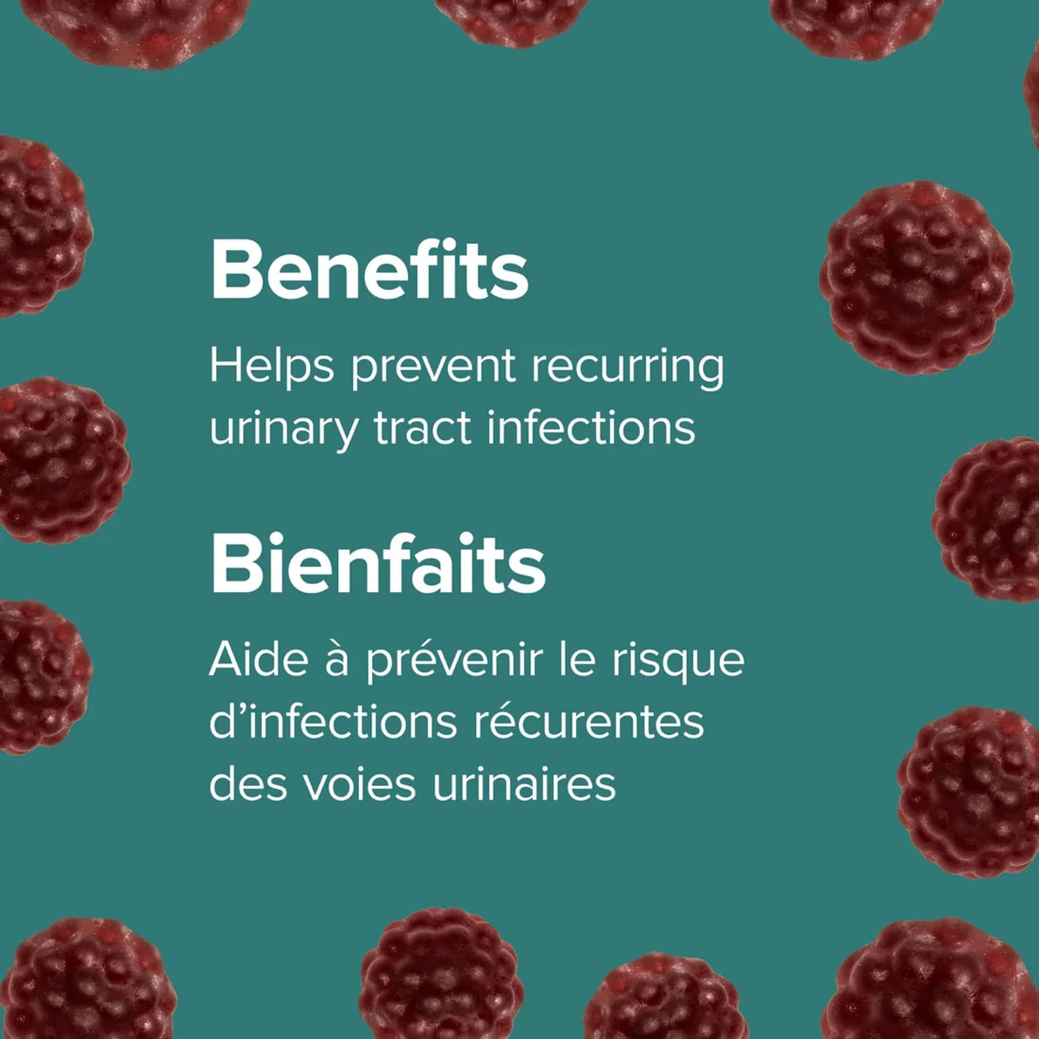 Webber Naturals UltraCran Cranberry Gummies 10,000mg, 60 Gummies - Image 3